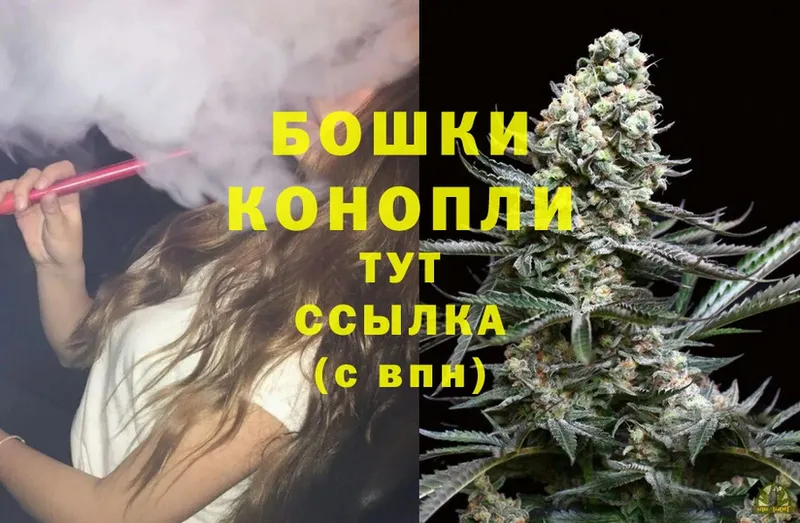 MEGA tor  наркотики  Пудож  Шишки марихуана OG Kush 